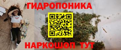 spice Балашиха